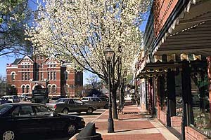 Website Design McDonough Georgia 3 website builder mcdoughn ga